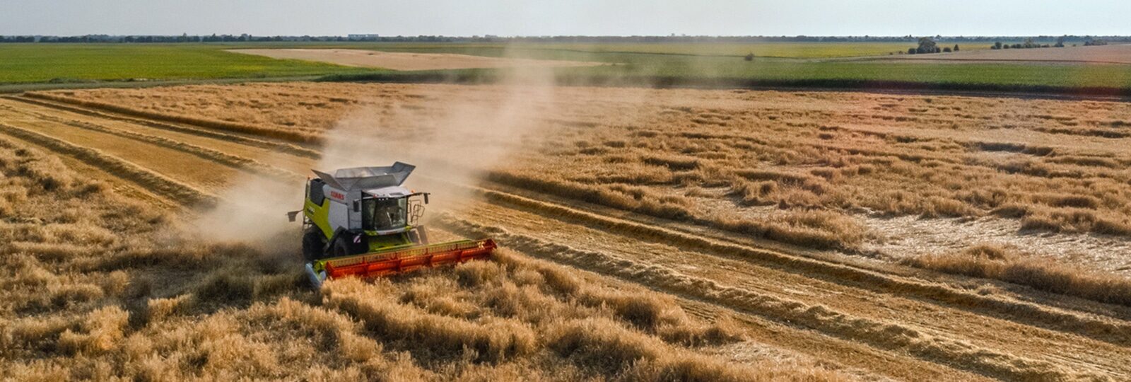 2023-SEP-ANSA-BLOG-COVER-RECORD