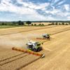 CABEZAL PARA COSECHADORA VARIO CLAAS - Image 3
